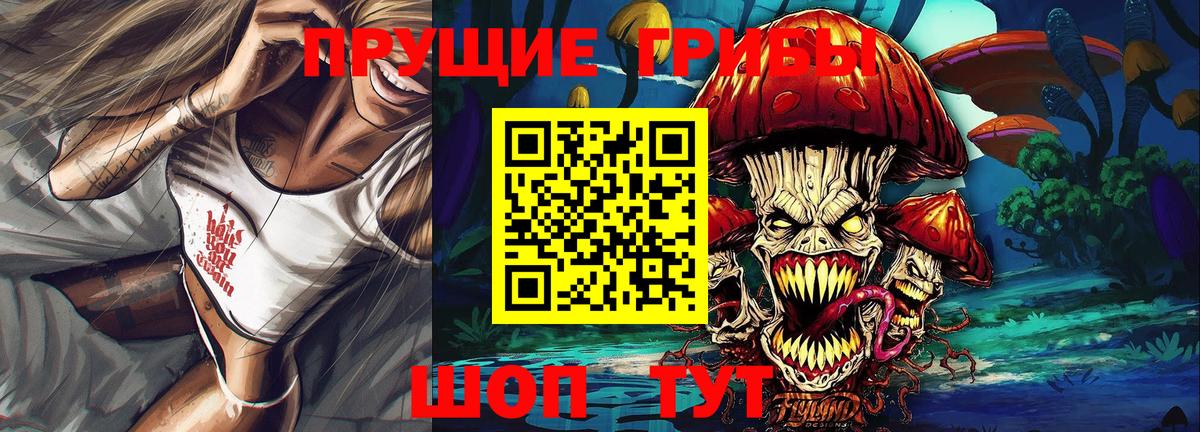 Тверь  Псилоцибиновые грибы MAGIC MUSHROOMS  Вход с VPN 